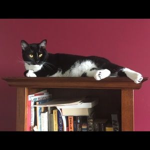 Meet your Posher, Parthena